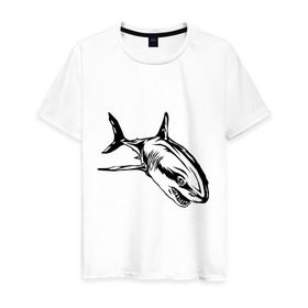 Мужская футболка хлопок с принтом Акула в Белгороде, 100% хлопок | прямой крой, круглый вырез горловины, длина до линии бедер, слегка спущенное плечо. | shark | акула | животные | рыба | хищник