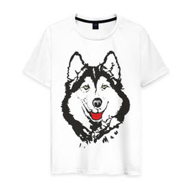 Мужская футболка хлопок с принтом Хаски в Белгороде, 100% хлопок | прямой крой, круглый вырез горловины, длина до линии бедер, слегка спущенное плечо. | dog | husky | животные | пес | песики | собака | хаски | хаски бандит