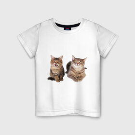Детская футболка хлопок с принтом Котёнок и кошка в Белгороде, 100% хлопок | круглый вырез горловины, полуприлегающий силуэт, длина до линии бедер | киса | котенок | котик | кошка