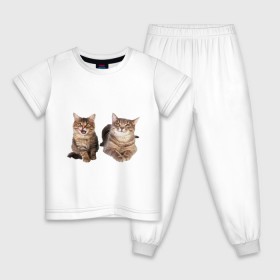 Детская пижама хлопок с принтом Котёнок и кошка в Белгороде, 100% хлопок |  брюки и футболка прямого кроя, без карманов, на брюках мягкая резинка на поясе и по низу штанин
 | киса | котенок | котик | кошка