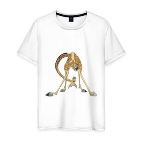 Мужская футболка хлопок с принтом Мадагаскар (3) в Белгороде, 100% хлопок | прямой крой, круглый вырез горловины, длина до линии бедер, слегка спущенное плечо. | Тематика изображения на принте: madagascar | жираф | мадагаскар