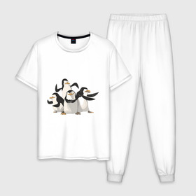 Мужская пижама хлопок с принтом Мадагаскар (8) в Белгороде, 100% хлопок | брюки и футболка прямого кроя, без карманов, на брюках мягкая резинка на поясе и по низу штанин
 | Тематика изображения на принте: madagascar | мадагаскар | пингвины