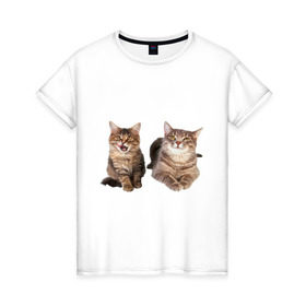 Женская футболка хлопок с принтом Кошка и котёнок в Белгороде, 100% хлопок | прямой крой, круглый вырез горловины, длина до линии бедер, слегка спущенное плечо | 