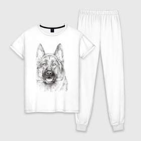 Женская пижама хлопок с принтом Собака Овчарка в Белгороде, 100% хлопок | брюки и футболка прямого кроя, без карманов, на брюках мягкая резинка на поясе и по низу штанин | dog | животные | овчарка | пес | песик | собака