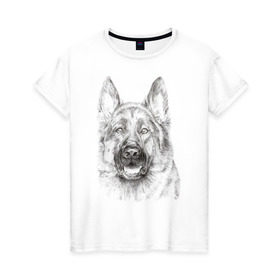 Женская футболка хлопок с принтом Собака Овчарка в Белгороде, 100% хлопок | прямой крой, круглый вырез горловины, длина до линии бедер, слегка спущенное плечо | dog | животные | овчарка | пес | песик | собака