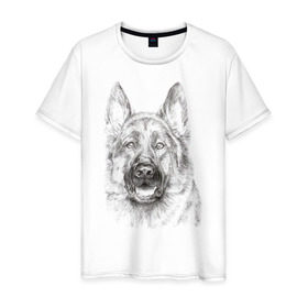Мужская футболка хлопок с принтом Собака Овчарка в Белгороде, 100% хлопок | прямой крой, круглый вырез горловины, длина до линии бедер, слегка спущенное плечо. | dog | животные | овчарка | пес | песик | собака