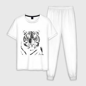 Мужская пижама хлопок с принтом Tiger (3) в Белгороде, 100% хлопок | брюки и футболка прямого кроя, без карманов, на брюках мягкая резинка на поясе и по низу штанин
 | tiger | животные | тигр | хищник