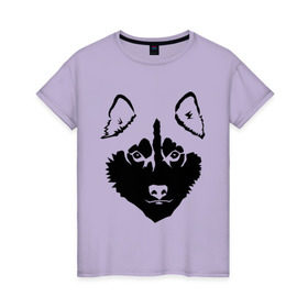 Женская футболка хлопок с принтом Siberian Husky в Белгороде, 100% хлопок | прямой крой, круглый вырез горловины, длина до линии бедер, слегка спущенное плечо | siberian husky | портрет | сибирский хаски | собака