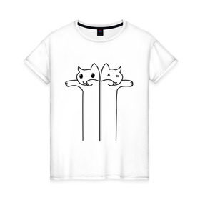 Женская футболка хлопок с принтом Зомби коты в Белгороде, 100% хлопок | прямой крой, круглый вырез горловины, длина до линии бедер, слегка спущенное плечо | животные | зомби коты | коты | коты мертвецы | котята | кошки