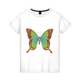 Женская футболка хлопок с принтом Красивая Бабочка в Белгороде, 100% хлопок | прямой крой, круглый вырез горловины, длина до линии бедер, слегка спущенное плечо | крылатые | насекомые