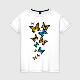 Женская футболка хлопок с принтом Полет бабочки в Белгороде, 100% хлопок | прямой крой, круглый вырез горловины, длина до линии бедер, слегка спущенное плечо | бабочки | животные | насекомые | полет бабочки
