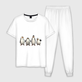 Мужская пижама хлопок с принтом Пингвины Мадагаскар в Белгороде, 100% хлопок | брюки и футболка прямого кроя, без карманов, на брюках мягкая резинка на поясе и по низу штанин
 | Тематика изображения на принте: пингвин