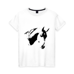 Женская футболка хлопок с принтом Лошадь черно-белая (5) в Белгороде, 100% хлопок | прямой крой, круглый вырез горловины, длина до линии бедер, слегка спущенное плечо | конь | лошадка | лошадь | лошадь черно белая