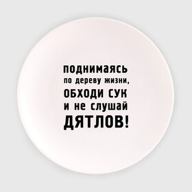 Тарелка с принтом Не слушай дятлов в Белгороде, фарфор | диаметр - 210 мм
диаметр для нанесения принта - 120 мм | дерево | жизни | жизнь | люди | о жизни | обходи сук | общение | общество | поднимаясь | философия