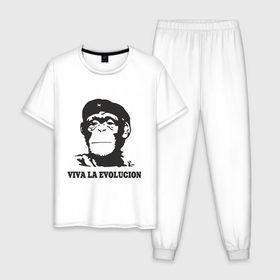 Мужская пижама хлопок с принтом Viva la evolucion в Белгороде, 100% хлопок | брюки и футболка прямого кроя, без карманов, на брюках мягкая резинка на поясе и по низу штанин
 | Тематика изображения на принте: 