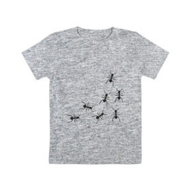 Детская футболка хлопок с принтом муравьи в Белгороде, 100% хлопок | круглый вырез горловины, полуприлегающий силуэт, длина до линии бедер | животные | звери | насекомые