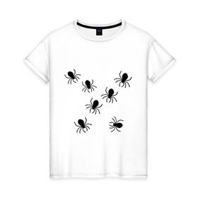 Женская футболка хлопок с принтом пауки в Белгороде, 100% хлопок | прямой крой, круглый вырез горловины, длина до линии бедер, слегка спущенное плечо | животные | насекомые | паучки