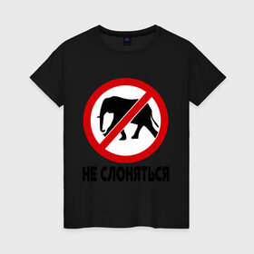 Женская футболка хлопок с принтом Не слоняться в Белгороде, 100% хлопок | прямой крой, круглый вырез горловины, длина до линии бедер, слегка спущенное плечо | слон