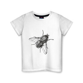 Детская футболка хлопок с принтом Назойливая муха в Белгороде, 100% хлопок | круглый вырез горловины, полуприлегающий силуэт, длина до линии бедер | животные | муха | назойливая | назойливая муха | прикольные картинки