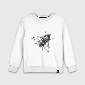 Детский свитшот хлопок с принтом Назойливая муха в Белгороде, 100% хлопок | круглый вырез горловины, эластичные манжеты, пояс и воротник | животные | муха | назойливая | назойливая муха | прикольные картинки