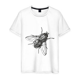 Мужская футболка хлопок с принтом Назойливая муха в Белгороде, 100% хлопок | прямой крой, круглый вырез горловины, длина до линии бедер, слегка спущенное плечо. | животные | муха | назойливая | назойливая муха | прикольные картинки