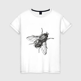 Женская футболка хлопок с принтом Назойливая муха в Белгороде, 100% хлопок | прямой крой, круглый вырез горловины, длина до линии бедер, слегка спущенное плечо | животные | муха | назойливая | назойливая муха | прикольные картинки