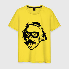 Мужская футболка хлопок с принтом Dubstep Einstein (Дабстеп Эйнштейн) в Белгороде, 100% хлопок | прямой крой, круглый вырез горловины, длина до линии бедер, слегка спущенное плечо. | dubstep | даб | дабстеп | эйнштейн