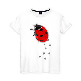 Женская футболка хлопок с принтом Реалистичная божья коровка в Белгороде, 100% хлопок | прямой крой, круглый вырез горловины, длина до линии бедер, слегка спущенное плечо | божья коровка | животные | насекомые