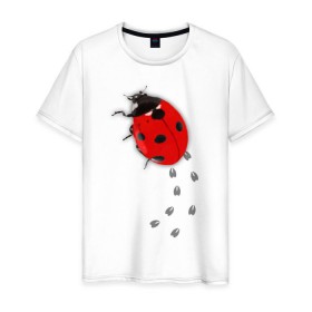 Мужская футболка хлопок с принтом Реалистичная божья коровка в Белгороде, 100% хлопок | прямой крой, круглый вырез горловины, длина до линии бедер, слегка спущенное плечо. | божья коровка | животные | насекомые