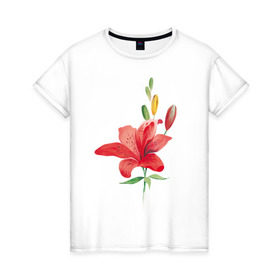 Женская футболка хлопок с принтом Red lily в Белгороде, 100% хлопок | прямой крой, круглый вырез горловины, длина до линии бедер, слегка спущенное плечо | 8 марта | букет | красная лилия | лилия | международный женский день | цветы
