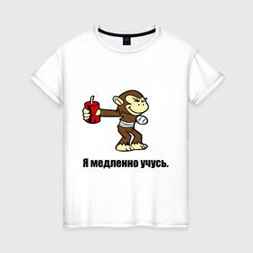 Женская футболка хлопок с принтом мартышка которая медленно учится в Белгороде, 100% хлопок | прямой крой, круглый вырез горловины, длина до линии бедер, слегка спущенное плечо | 