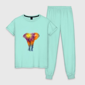 Женская пижама хлопок с принтом Слон watercolor в Белгороде, 100% хлопок | брюки и футболка прямого кроя, без карманов, на брюках мягкая резинка на поясе и по низу штанин | слон