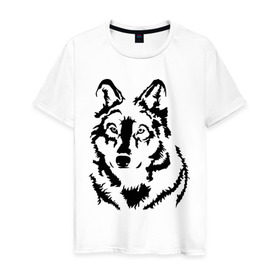 Мужская футболка хлопок с принтом Чёрный волк в Белгороде, 100% хлопок | прямой крой, круглый вырез горловины, длина до линии бедер, слегка спущенное плечо. | волчара | волчица | животное | зверь | хищник