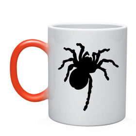 Кружка хамелеон с принтом Паук (spider) в Белгороде, керамика | меняет цвет при нагревании, емкость 330 мл | насекомые | паутина | паучок | черная вдова | черный паук