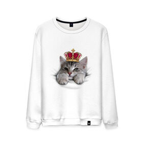Мужской свитшот хлопок с принтом Pretty kitten в Белгороде, 100% хлопок |  | kitten | meow | meow kitten | киса | корона | корона на голове кота | кот | кот с короной | котик | котэ | котяра | кошка | прикольный кот