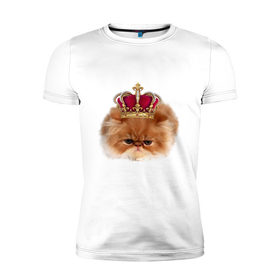 Мужская футболка премиум с принтом Sad cat в Белгороде, 92% хлопок, 8% лайкра | приталенный силуэт, круглый вырез ворота, длина до линии бедра, короткий рукав | 