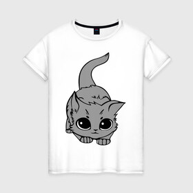 Женская футболка хлопок с принтом Котенок в Белгороде, 100% хлопок | прямой крой, круглый вырез горловины, длина до линии бедер, слегка спущенное плечо | домашние животные | кот | коты | кошка | кошки