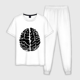 Мужская пижама хлопок с принтом Он - мозг в Белгороде, 100% хлопок | брюки и футболка прямого кроя, без карманов, на брюках мягкая резинка на поясе и по низу штанин
 | голова | левое и правое полушарие | мозг | он   мозг | открытый мозг | парные | полушарие мозга