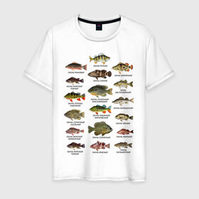 Мужская футболка хлопок с принтом Окуни. в Белгороде, 100% хлопок | прямой крой, круглый вырез горловины, длина до линии бедер, слегка спущенное плечо. | для рыбака | окуни | окунь | подарок рыбаку | рыбаку | рыбалка