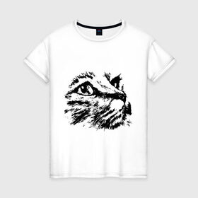 Женская футболка хлопок с принтом Образ кошки в Белгороде, 100% хлопок | прямой крой, круглый вырез горловины, длина до линии бедер, слегка спущенное плечо | киса | котенок | кошка