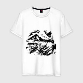 Мужская футболка хлопок с принтом Образ кошки в Белгороде, 100% хлопок | прямой крой, круглый вырез горловины, длина до линии бедер, слегка спущенное плечо. | киса | котенок | кошка