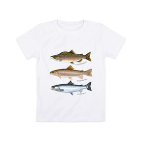 Детская футболка хлопок с принтом Лососевые в Белгороде, 100% хлопок | круглый вырез горловины, полуприлегающий силуэт, длина до линии бедер | горбуша | кижуч | рыба | рыбалка | рыбачить | туризм | туристические | туристу | улов | форель