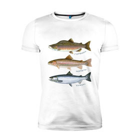 Мужская футболка премиум с принтом Лососевые в Белгороде, 92% хлопок, 8% лайкра | приталенный силуэт, круглый вырез ворота, длина до линии бедра, короткий рукав | горбуша | кижуч | рыба | рыбалка | рыбачить | туризм | туристические | туристу | улов | форель