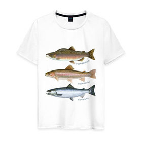 Мужская футболка хлопок с принтом Лососевые в Белгороде, 100% хлопок | прямой крой, круглый вырез горловины, длина до линии бедер, слегка спущенное плечо. | горбуша | кижуч | рыба | рыбалка | рыбачить | туризм | туристические | туристу | улов | форель
