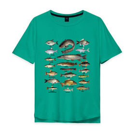 Мужская футболка хлопок Oversize с принтом Популярные виды рыб в Белгороде, 100% хлопок | свободный крой, круглый ворот, “спинка” длиннее передней части | Тематика изображения на принте: рыба | рыбалка | рыбачить | туризм | туристические | туристу | улов