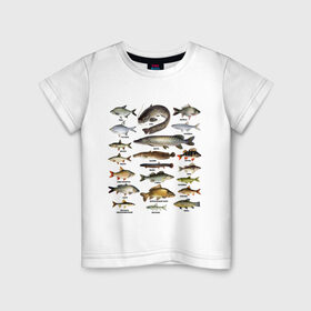 Детская футболка хлопок с принтом Популярные виды рыб в Белгороде, 100% хлопок | круглый вырез горловины, полуприлегающий силуэт, длина до линии бедер | рыба | рыбалка | рыбачить | туризм | туристические | туристу | улов