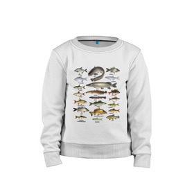 Детский свитшот хлопок с принтом Популярные виды рыб в Белгороде, 100% хлопок | круглый вырез горловины, эластичные манжеты, пояс и воротник | рыба | рыбалка | рыбачить | туризм | туристические | туристу | улов