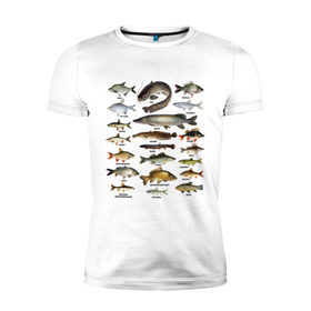 Мужская футболка премиум с принтом Популярные виды рыб в Белгороде, 92% хлопок, 8% лайкра | приталенный силуэт, круглый вырез ворота, длина до линии бедра, короткий рукав | рыба | рыбалка | рыбачить | туризм | туристические | туристу | улов