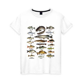Женская футболка хлопок с принтом Популярные виды рыб в Белгороде, 100% хлопок | прямой крой, круглый вырез горловины, длина до линии бедер, слегка спущенное плечо | рыба | рыбалка | рыбачить | туризм | туристические | туристу | улов