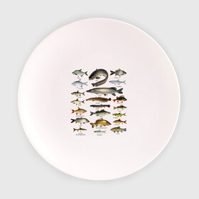 Тарелка 3D с принтом Популярные виды рыб в Белгороде, фарфор | диаметр - 210 мм
диаметр для нанесения принта - 120 мм | Тематика изображения на принте: рыба | рыбалка | рыбачить | туризм | туристические | туристу | улов